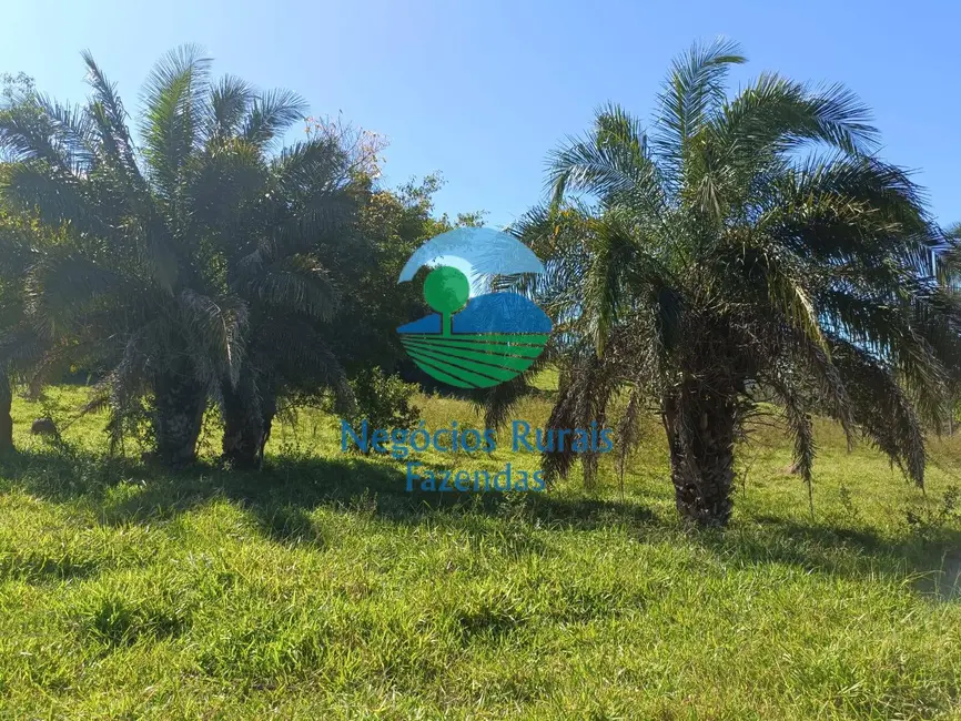 Foto 3 de Fazenda / Haras à venda, 96m2 em Hidrolandia - GO