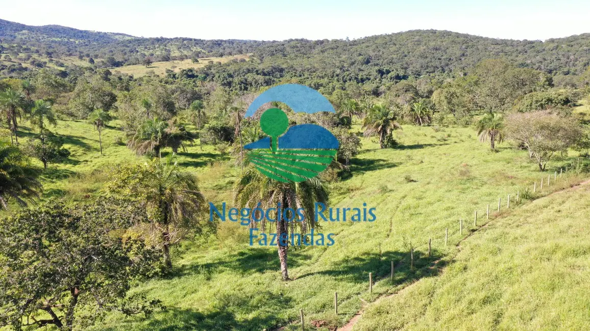 Foto 2 de Fazenda / Haras à venda, 96m2 em Hidrolandia - GO