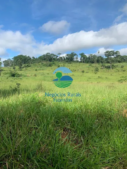 Foto 2 de Fazenda / Haras com 1 quarto à venda, 1210m2 em Campinacu - GO