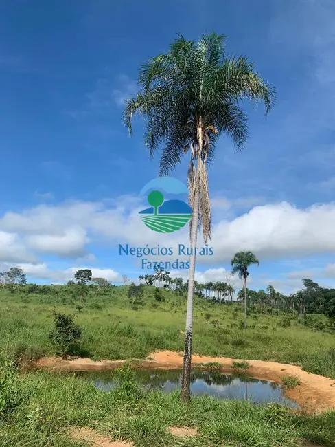Foto 9 de Fazenda / Haras com 1 quarto à venda, 1210m2 em Campinacu - GO