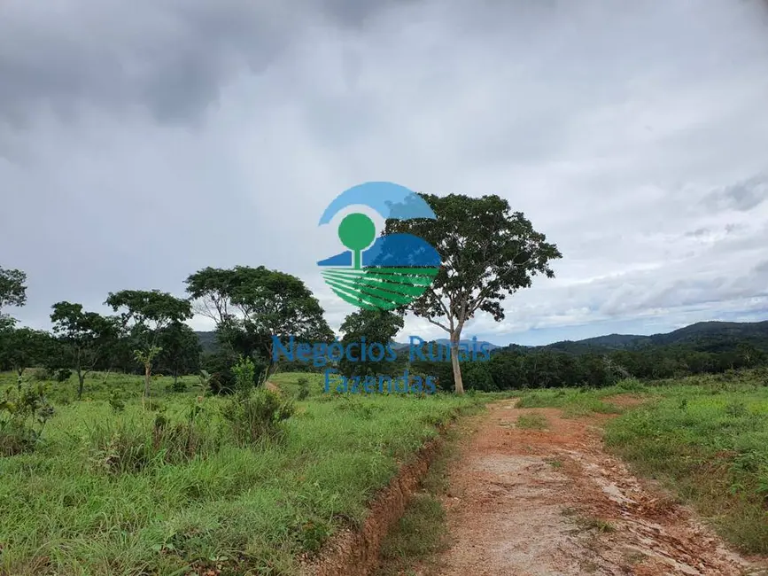 Foto 3 de Fazenda / Haras com 1 quarto à venda, 1210m2 em Campinacu - GO