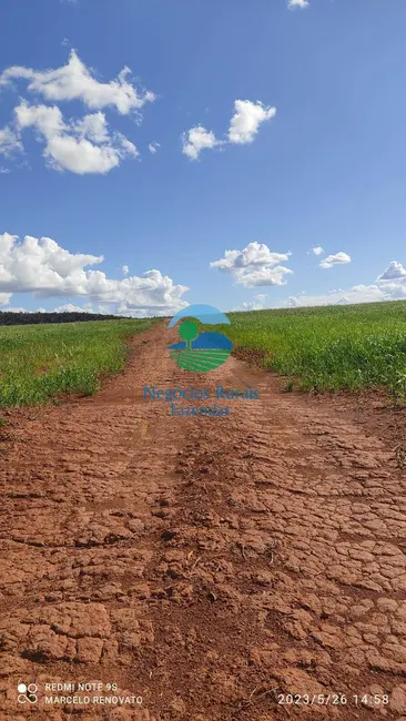 Foto 8 de Fazenda / Haras com 3 quartos à venda, 352m2 em Niquelandia - GO