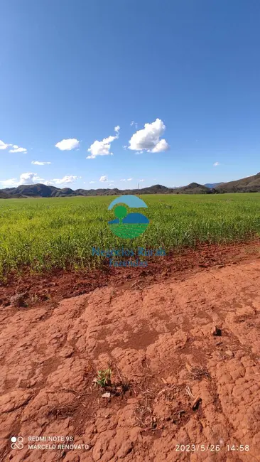 Foto 3 de Fazenda / Haras com 3 quartos à venda, 352m2 em Niquelandia - GO