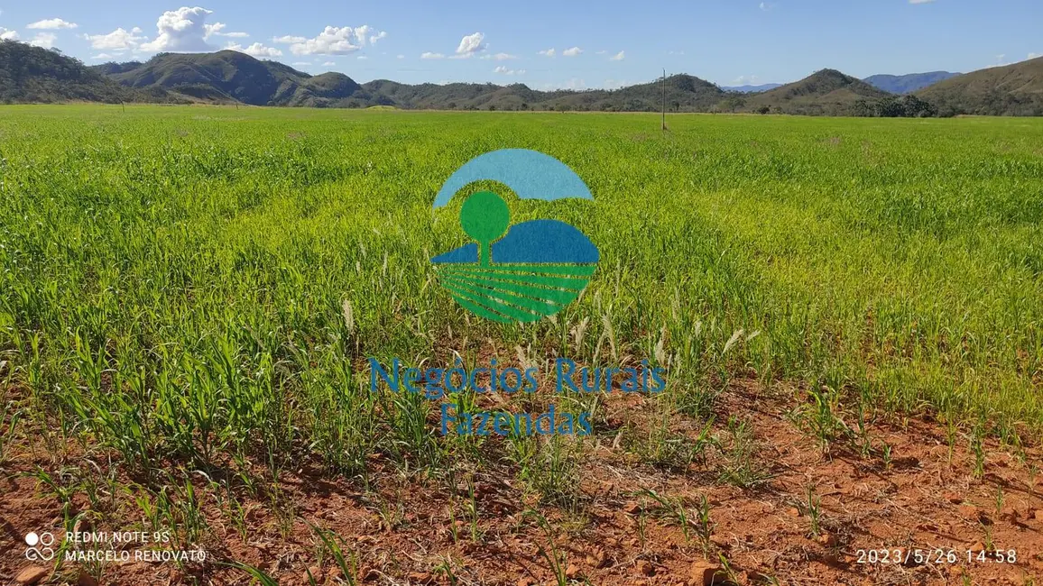 Foto 7 de Fazenda / Haras com 3 quartos à venda, 352m2 em Niquelandia - GO