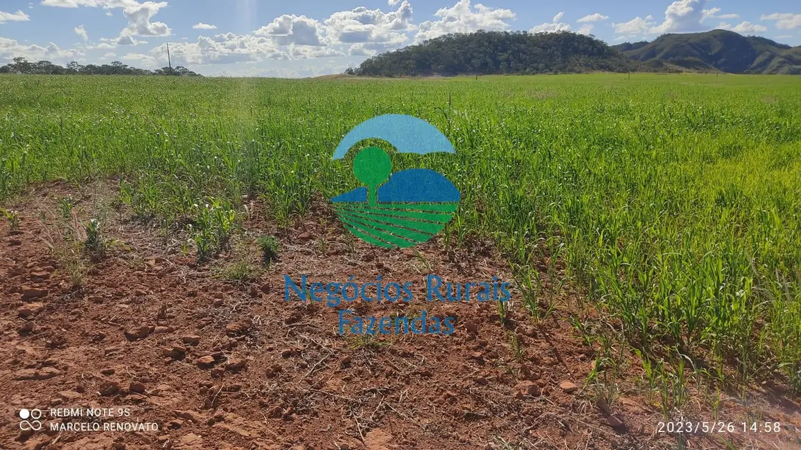 Foto 5 de Fazenda / Haras com 3 quartos à venda, 352m2 em Niquelandia - GO