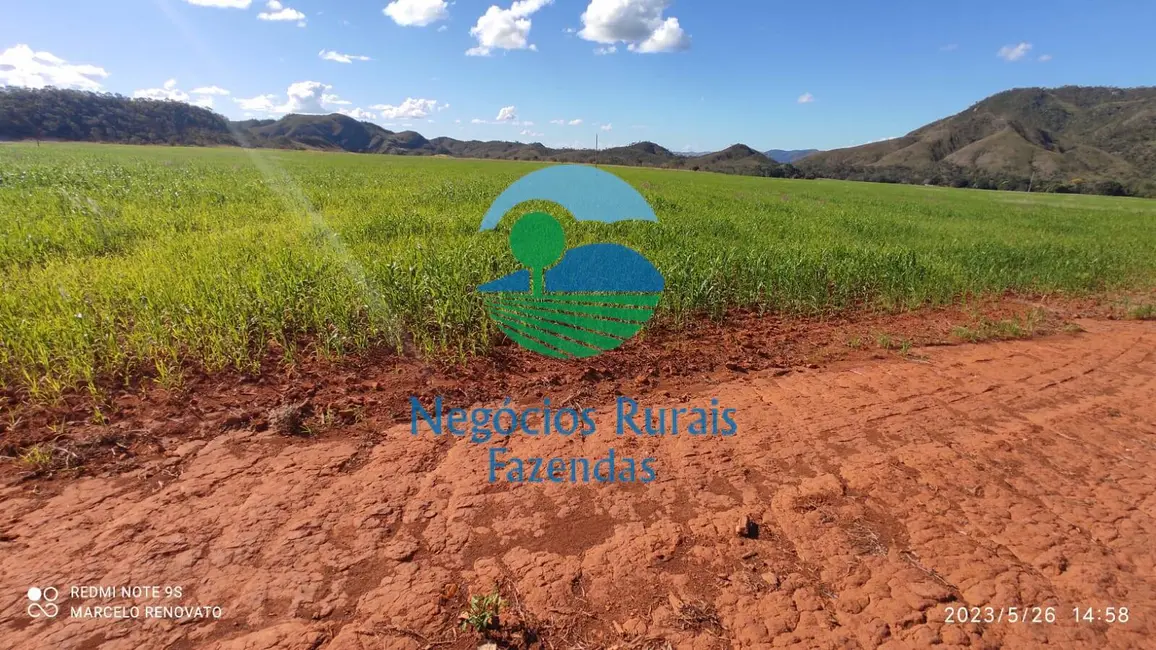 Foto 4 de Fazenda / Haras com 3 quartos à venda, 352m2 em Niquelandia - GO