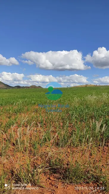 Foto 2 de Fazenda / Haras com 3 quartos à venda, 352m2 em Niquelandia - GO