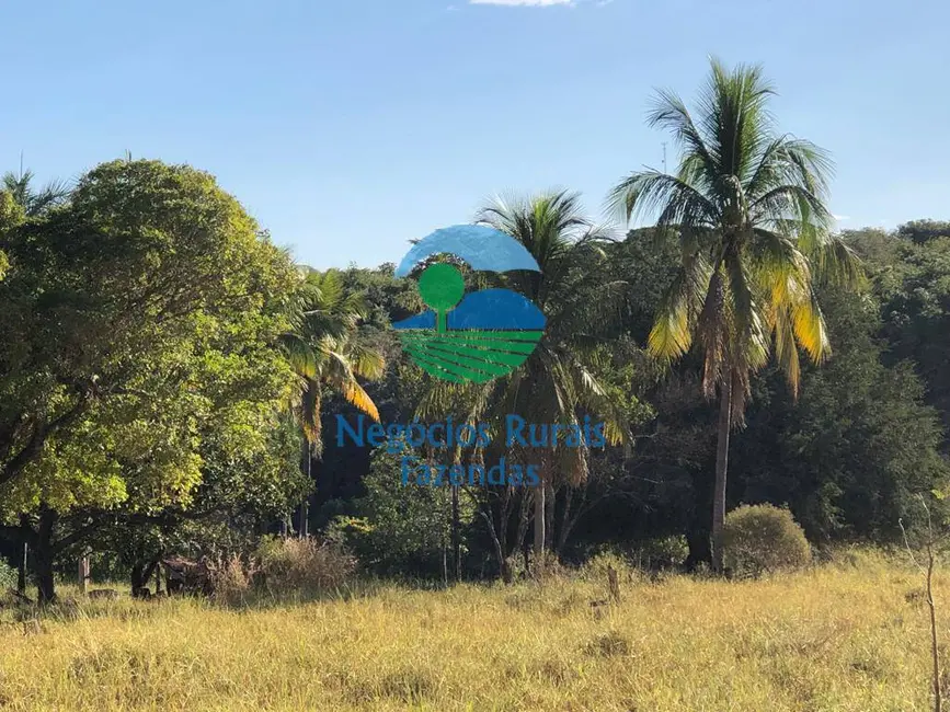 Fazenda / Haras com 3 quartos à venda, 145m2 em Uruacu - GO - imagem 5 Foto 5 de Fazenda / Haras com 3 quartos à venda, 145m2 em Uruacu - GO