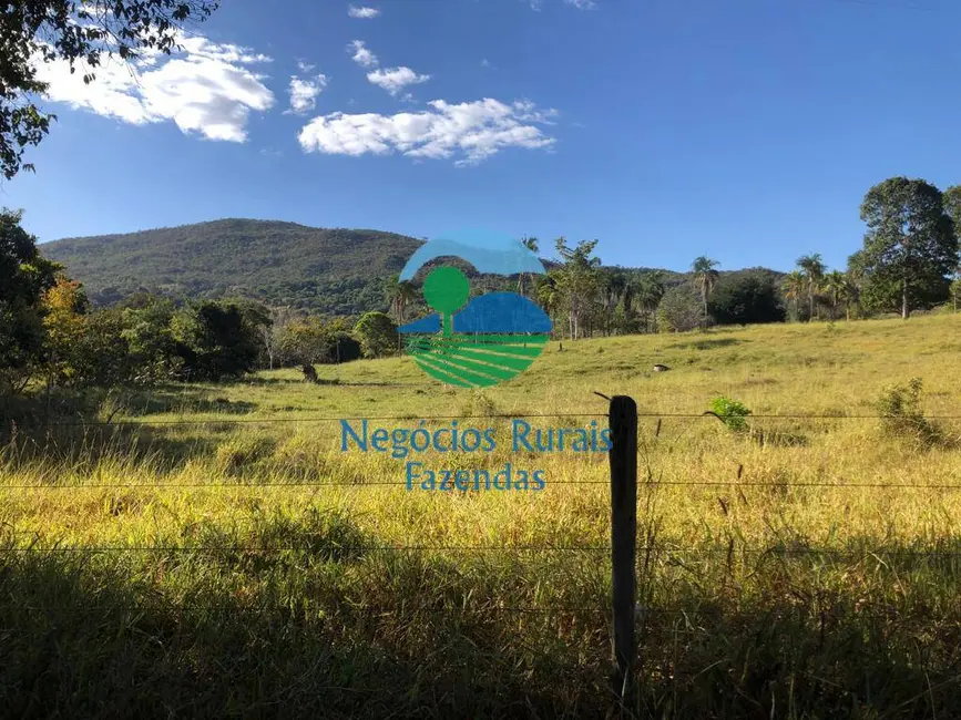 Fazenda / Haras com 3 quartos à venda, 145m2 em Uruacu - GO - imagem 2 Foto 2 de Fazenda / Haras com 3 quartos à venda, 145m2 em Uruacu - GO