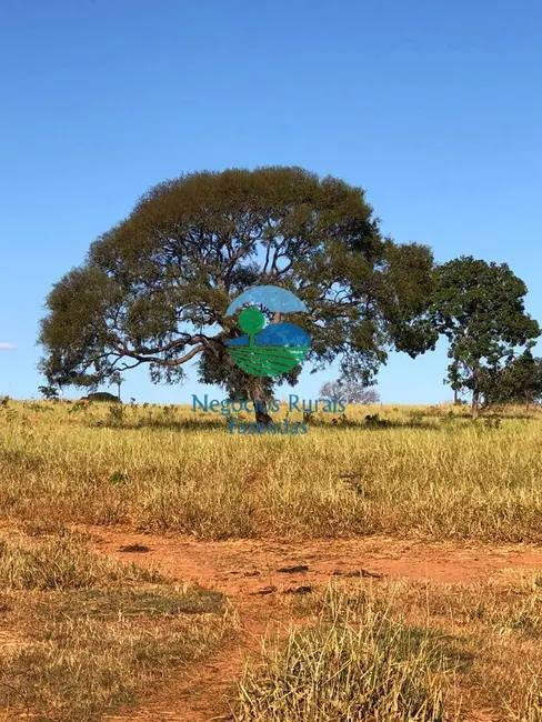 Fazenda / Haras com 3 quartos à venda, 145m2 em Uruacu - GO - imagem 8 Foto 8 de Fazenda / Haras com 3 quartos à venda, 145m2 em Uruacu - GO