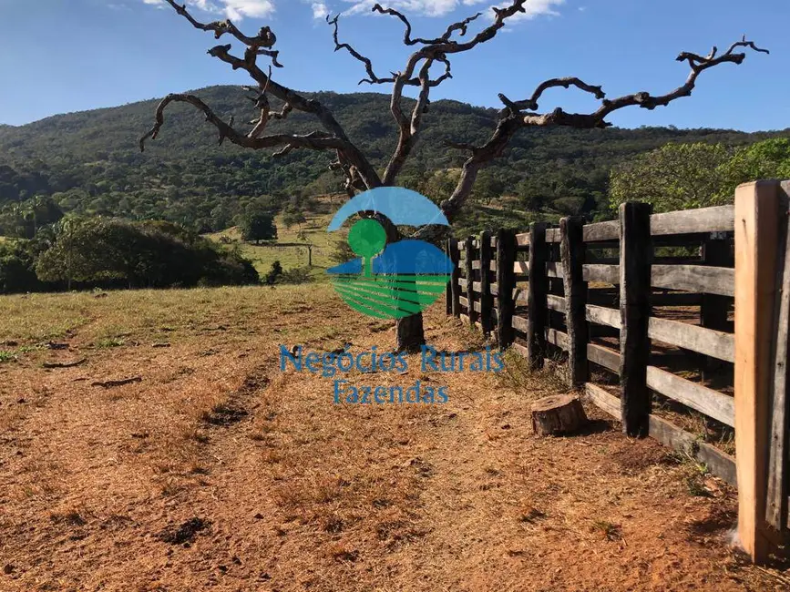 Fazenda / Haras com 3 quartos à venda, 145m2 em Uruacu - GO - imagem 6 Foto 6 de Fazenda / Haras com 3 quartos à venda, 145m2 em Uruacu - GO