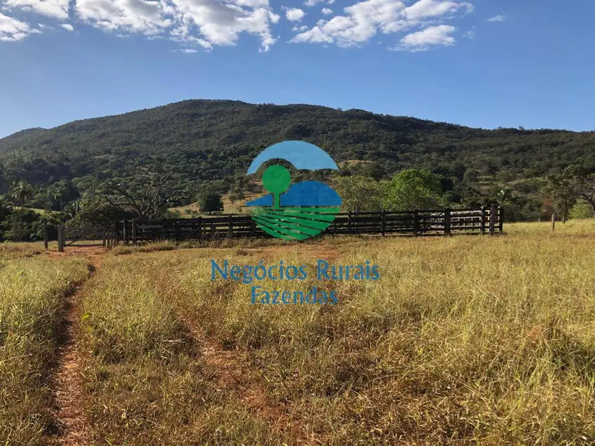 Fazenda / Haras com 3 quartos à venda, 145m2 em Uruacu - GO - imagem 4 Foto 4 de Fazenda / Haras com 3 quartos à venda, 145m2 em Uruacu - GO