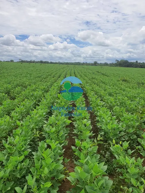 Foto 1 de Fazenda / Haras à venda, 435m2 em Novo Planalto - GO
