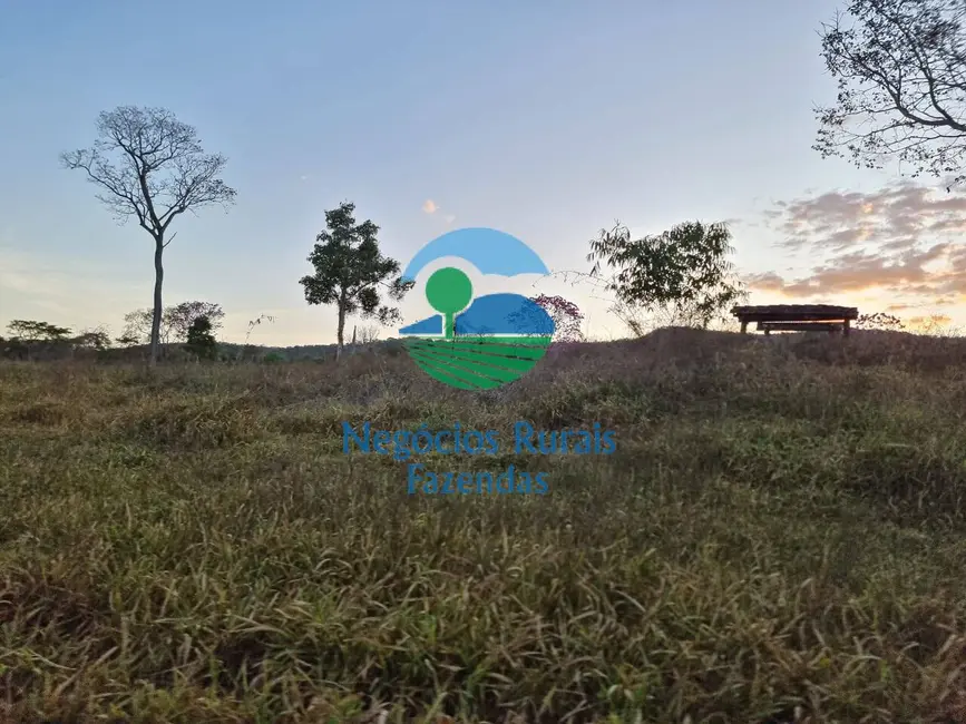 Foto 7 de Fazenda / Haras com 1 quarto à venda, 1210m2 em Campinacu - GO