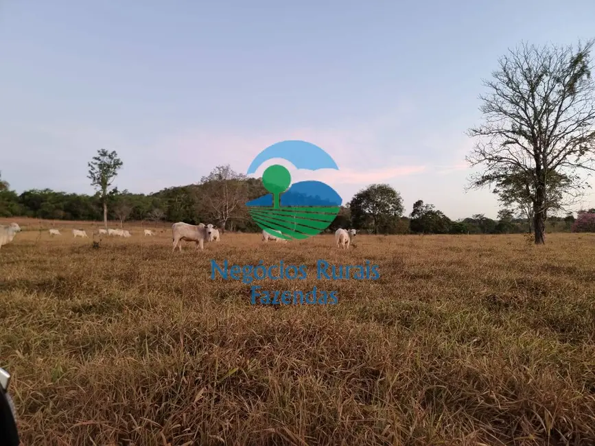 Foto 4 de Fazenda / Haras com 1 quarto à venda, 1210m2 em Campinacu - GO