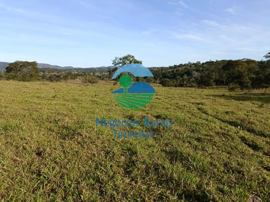 Foto 3 de Fazenda / Haras com 1 quarto à venda, 532m2 em Uruacu - GO