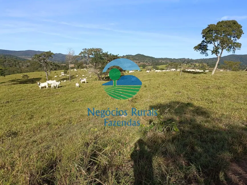Foto 6 de Fazenda / Haras com 1 quarto à venda, 532m2 em Uruacu - GO