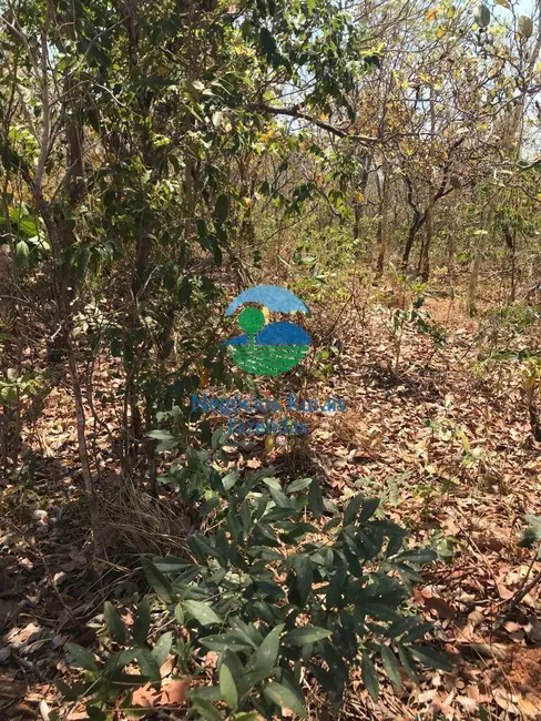 Fazenda / Haras à venda, 460m2 em Palmeiropolis - TO - imagem 2 Foto 2 de Fazenda / Haras à venda, 460m2 em Palmeiropolis - TO