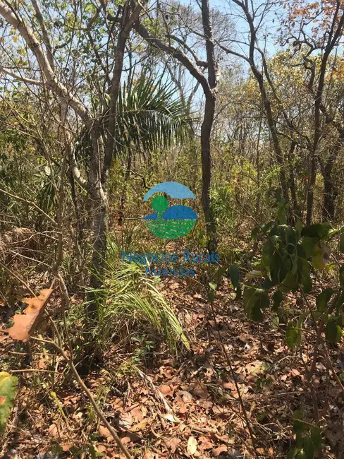 Fazenda / Haras à venda, 460m2 em Palmeiropolis - TO - imagem 6 Foto 6 de Fazenda / Haras à venda, 460m2 em Palmeiropolis - TO