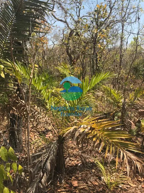 Foto 1 de Fazenda / Haras à venda, 460m2 em Palmeiropolis, TO