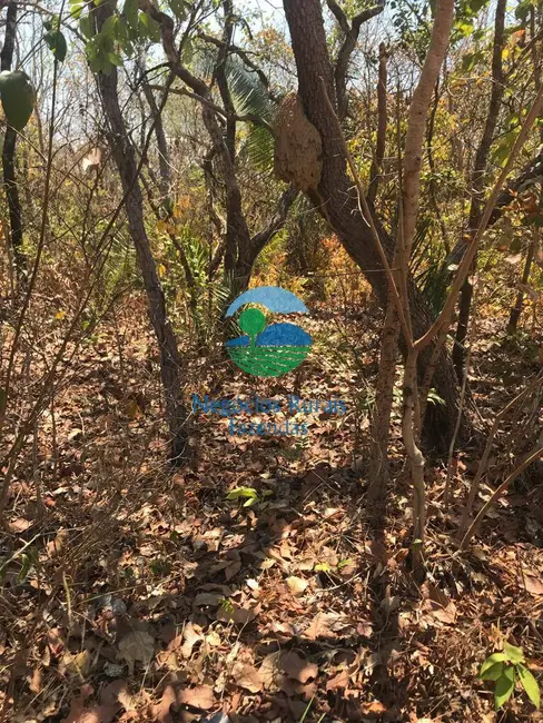 Fazenda / Haras à venda, 460m2 em Palmeiropolis - TO - imagem 5 Foto 5 de Fazenda / Haras à venda, 460m2 em Palmeiropolis - TO