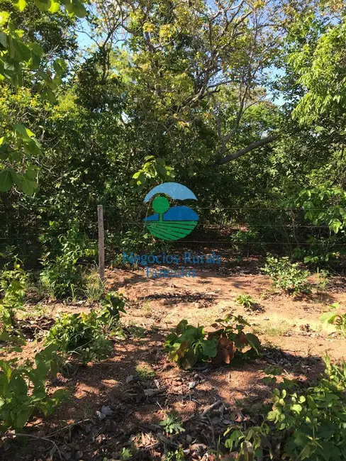 Fazenda / Haras à venda, 460m2 em Palmeiropolis - TO - imagem 4 Foto 4 de Fazenda / Haras à venda, 460m2 em Palmeiropolis - TO