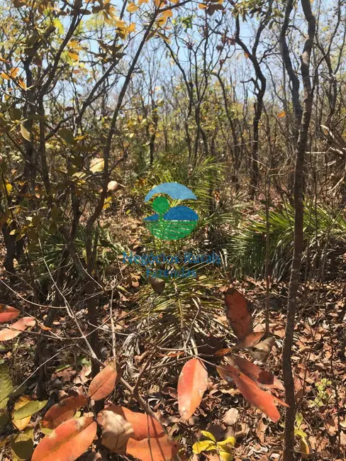 Fazenda / Haras à venda, 460m2 em Palmeiropolis - TO - imagem 3 Foto 3 de Fazenda / Haras à venda, 460m2 em Palmeiropolis - TO