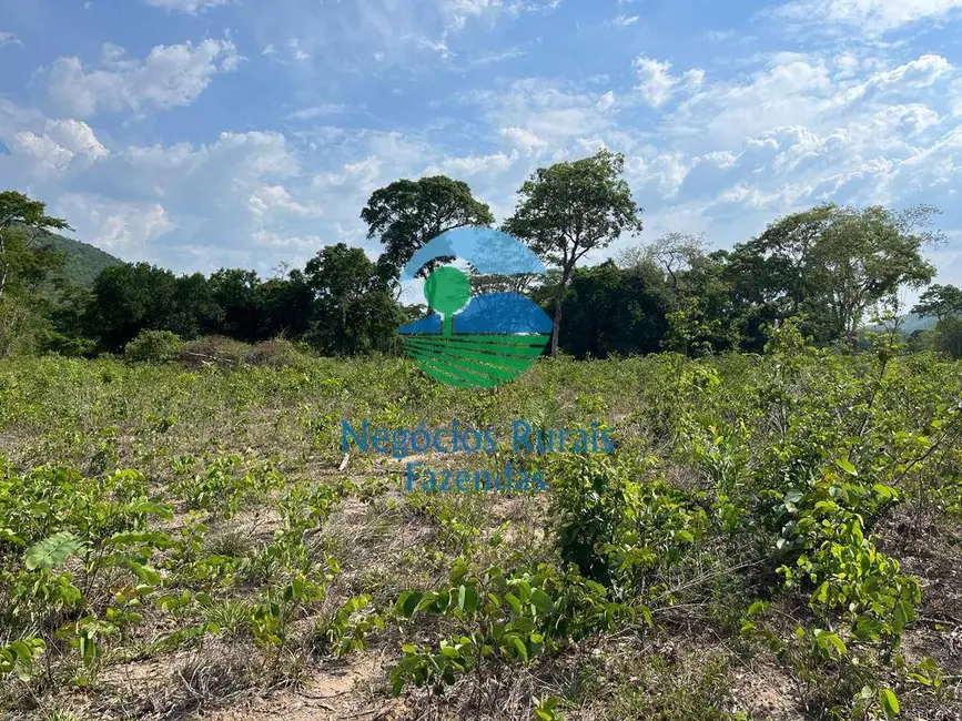 Foto 2 de Fazenda / Haras com 2 quartos à venda, 484m2 em Jau Do Tocantins - TO