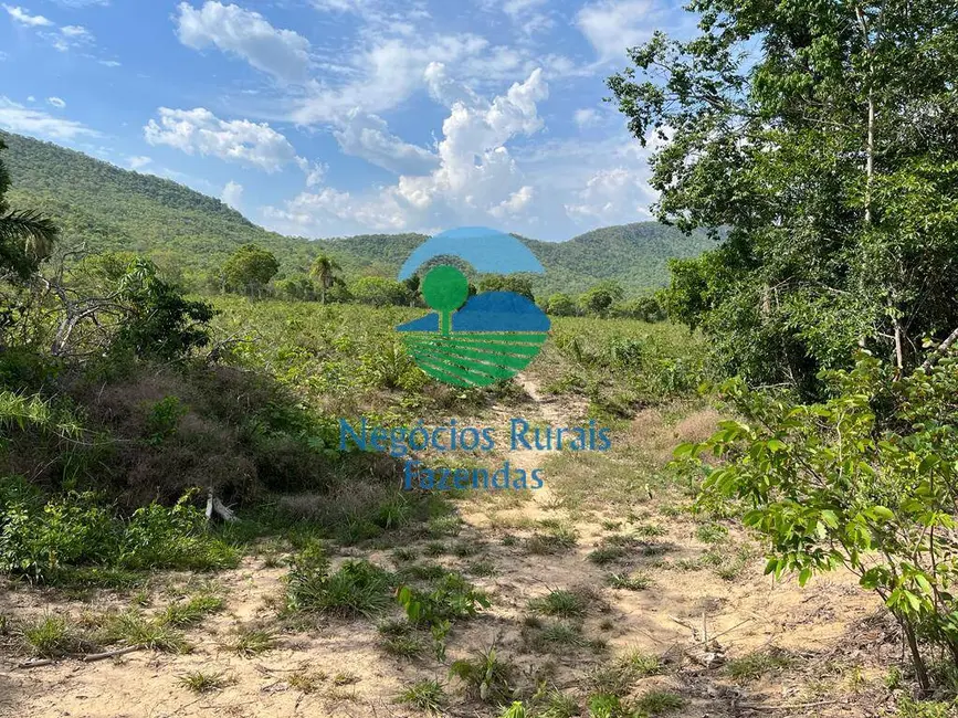 Foto 3 de Fazenda / Haras com 2 quartos à venda, 484m2 em Jau Do Tocantins - TO