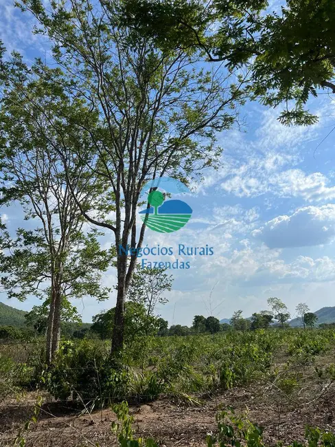 Foto 8 de Fazenda / Haras com 2 quartos à venda, 484m2 em Jau Do Tocantins - TO