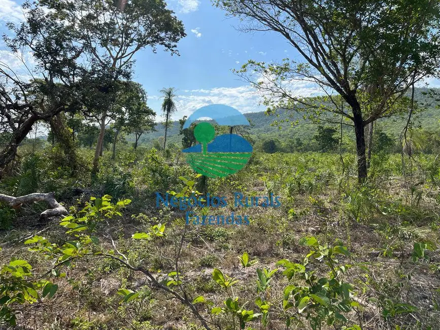 Foto 5 de Fazenda / Haras com 2 quartos à venda, 484m2 em Jau Do Tocantins - TO