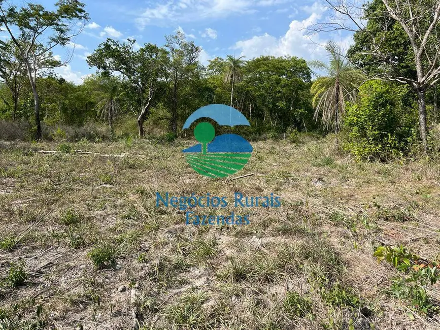 Foto 4 de Fazenda / Haras com 2 quartos à venda, 484m2 em Jau Do Tocantins - TO