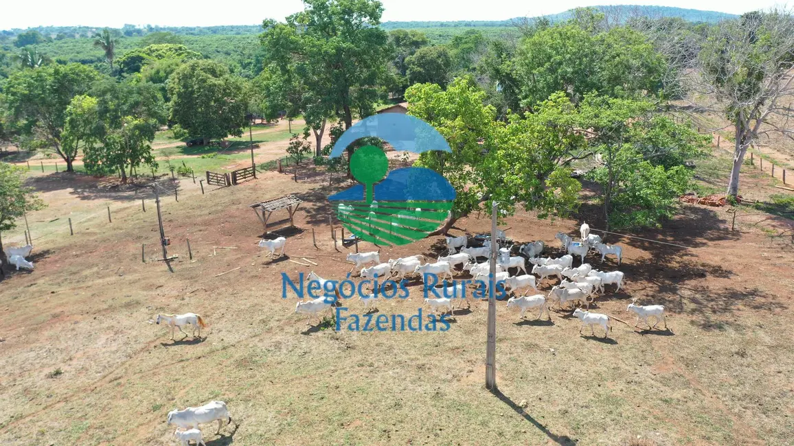Fazenda / Haras com 2 quartos à venda, 1258m2 em Palmeiropolis - TO - imagem 2 Foto 2 de Fazenda / Haras com 2 quartos à venda, 1258m2 em Palmeiropolis - TO