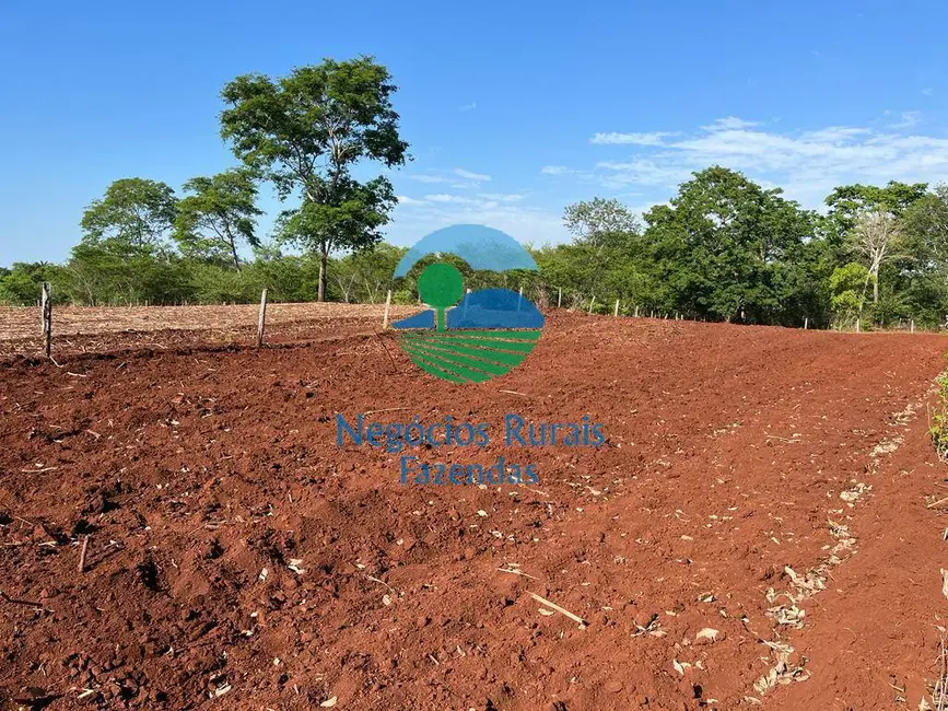 Foto 1 de Fazenda / Haras com 2 quartos à venda, 1258m2 em Palmeiropolis - TO