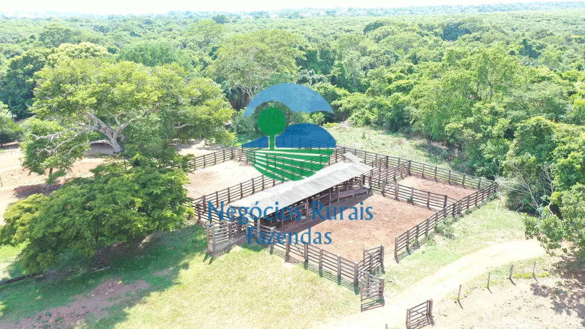 Fazenda / Haras com 2 quartos à venda, 1258m2 em Palmeiropolis - TO - imagem 5 Foto 5 de Fazenda / Haras com 2 quartos à venda, 1258m2 em Palmeiropolis - TO