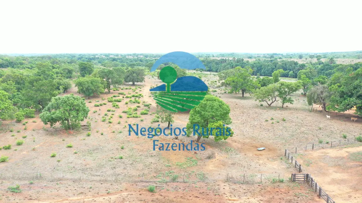 Foto 9 de Fazenda / Haras com 6 quartos à venda, 250m2 em Sao Valerio Da Natividade - TO