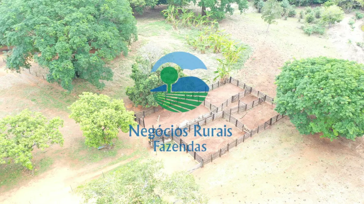 Foto 1 de Fazenda / Haras com 6 quartos à venda, 250m2 em Sao Valerio Da Natividade - TO