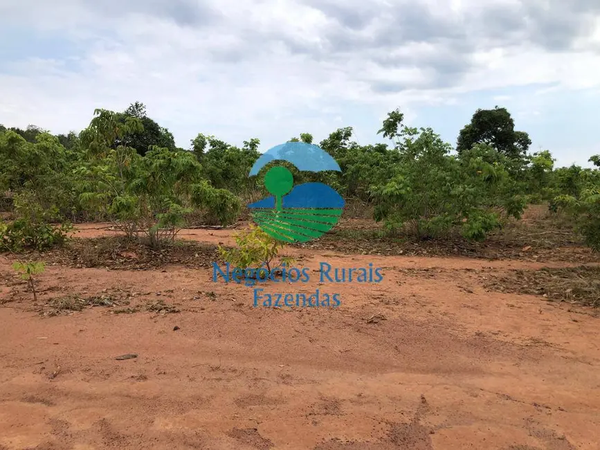 Foto 5 de Fazenda / Haras com 6 quartos à venda, 250m2 em Sao Valerio Da Natividade - TO