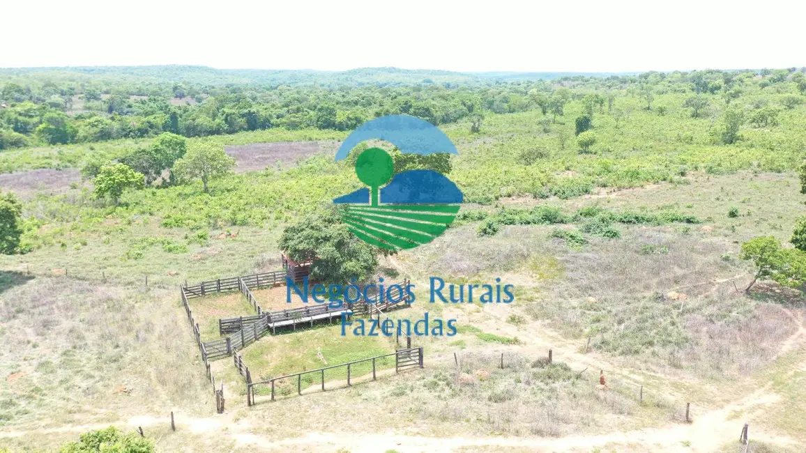 Foto 1 de Fazenda / Haras com 2 quartos à venda, 266m2 em Palmeiropolis - TO