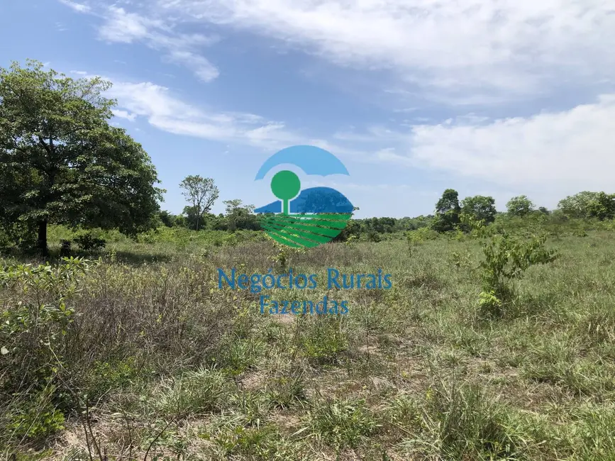 Foto 2 de Fazenda / Haras com 2 quartos à venda, 266m2 em Palmeiropolis - TO