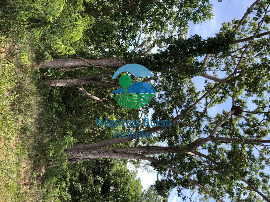 Fazenda / Haras com 2 quartos à venda, 266m2 em Palmeiropolis - TO - imagem 5 Foto 5 de Fazenda / Haras com 2 quartos à venda, 266m2 em Palmeiropolis - TO