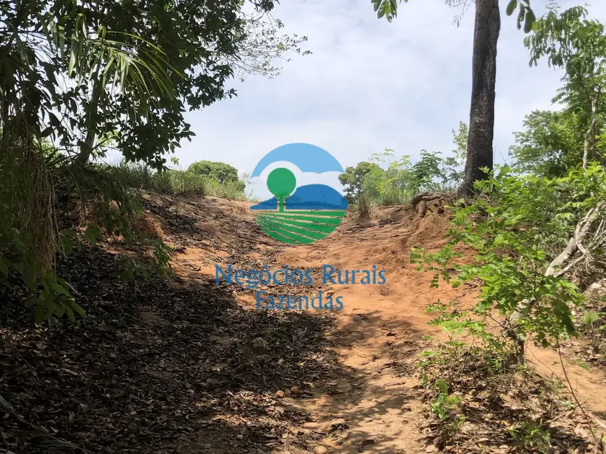 Fazenda / Haras com 2 quartos à venda, 266m2 em Palmeiropolis - TO - imagem 9 Foto 9 de Fazenda / Haras com 2 quartos à venda, 266m2 em Palmeiropolis - TO