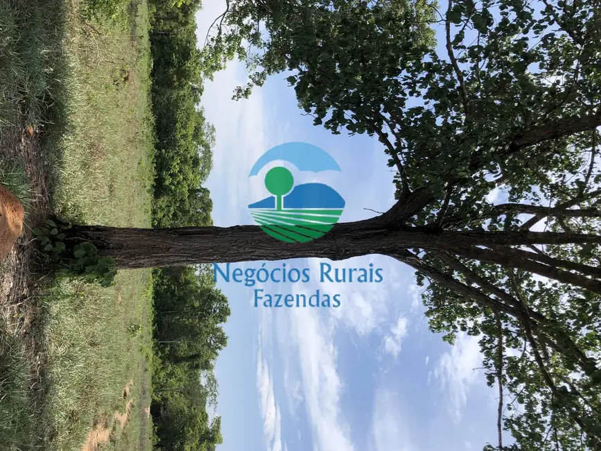 Fazenda / Haras com 2 quartos à venda, 266m2 em Palmeiropolis - TO - imagem 3 Foto 3 de Fazenda / Haras com 2 quartos à venda, 266m2 em Palmeiropolis - TO