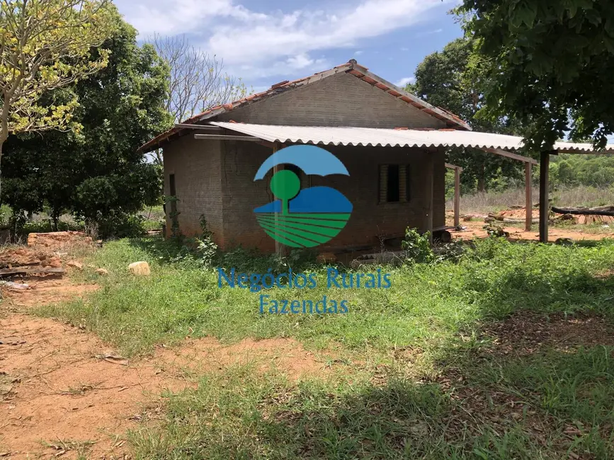 Fazenda / Haras com 2 quartos à venda, 266m2 em Palmeiropolis - TO - imagem 8 Foto 8 de Fazenda / Haras com 2 quartos à venda, 266m2 em Palmeiropolis - TO
