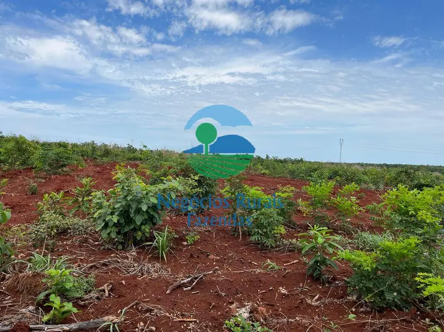 Foto 2 de Fazenda / Haras com 3 quartos à venda, 1026m2 em Jau Do Tocantins - TO
