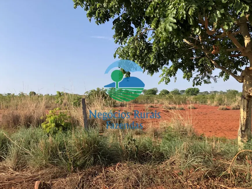 Foto 2 de Fazenda / Haras com 6 quartos à venda, 290m2 em Palmeiropolis - TO