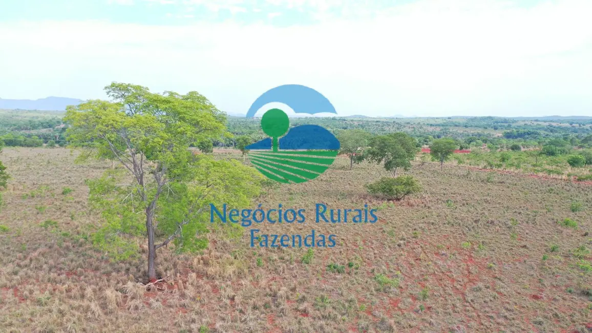 Fazenda / Haras com 6 quartos à venda, 290m2 em Palmeiropolis - TO - imagem 8 Foto 8 de Fazenda / Haras com 6 quartos à venda, 290m2 em Palmeiropolis - TO