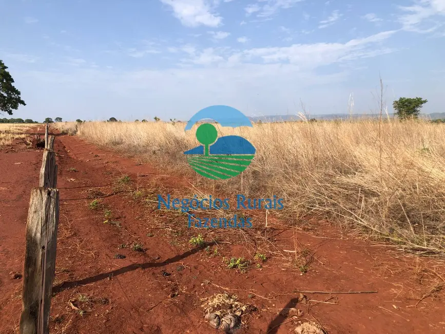 Fazenda / Haras com 6 quartos à venda, 290m2 em Palmeiropolis - TO - imagem 7 Foto 7 de Fazenda / Haras com 6 quartos à venda, 290m2 em Palmeiropolis - TO