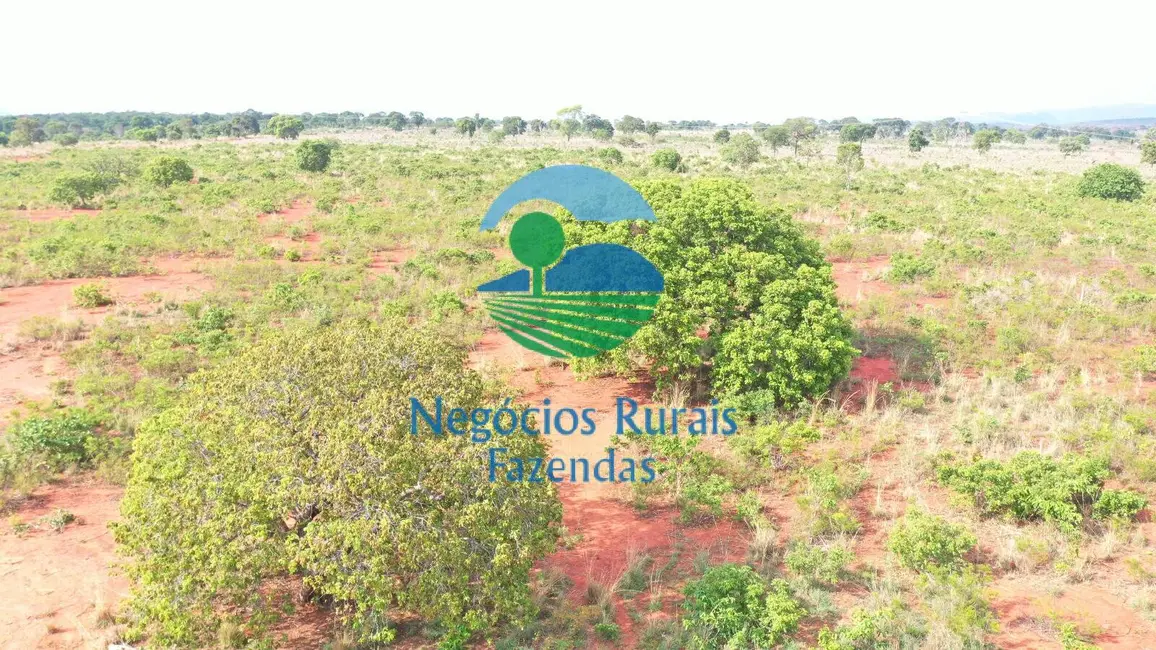 Fazenda / Haras com 6 quartos à venda, 290m2 em Palmeiropolis - TO - imagem 9 Foto 9 de Fazenda / Haras com 6 quartos à venda, 290m2 em Palmeiropolis - TO