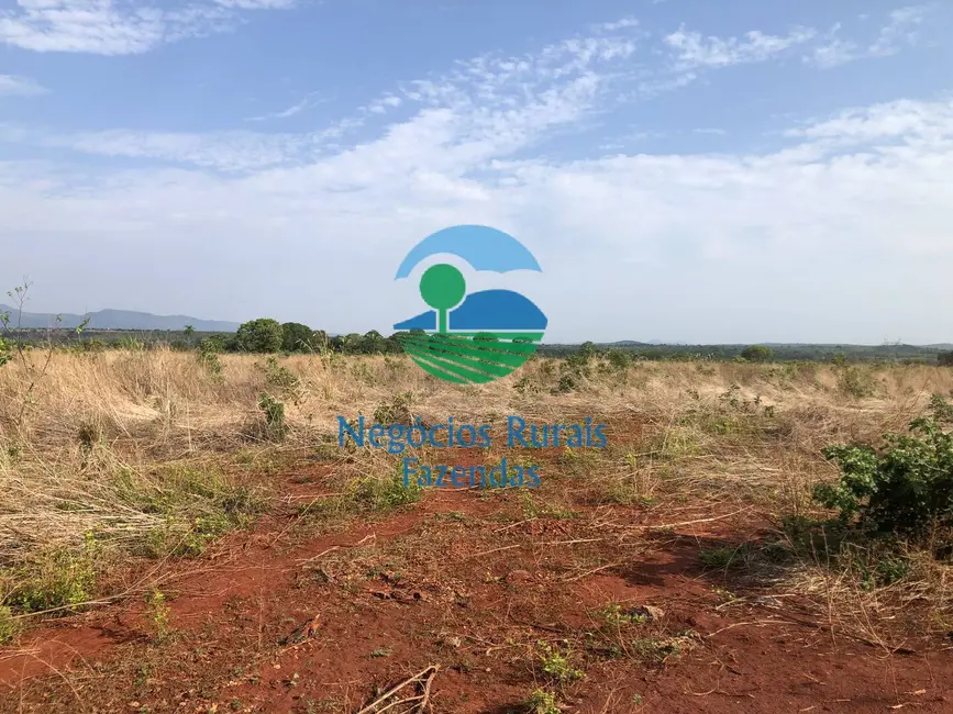 Fazenda / Haras com 6 quartos à venda, 290m2 em Palmeiropolis - TO - imagem 5 Foto 5 de Fazenda / Haras com 6 quartos à venda, 290m2 em Palmeiropolis - TO